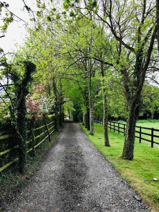 Northdown Lodge - Stunning Property On The Kent Northdowns Hollingbourne Екстер'єр фото
